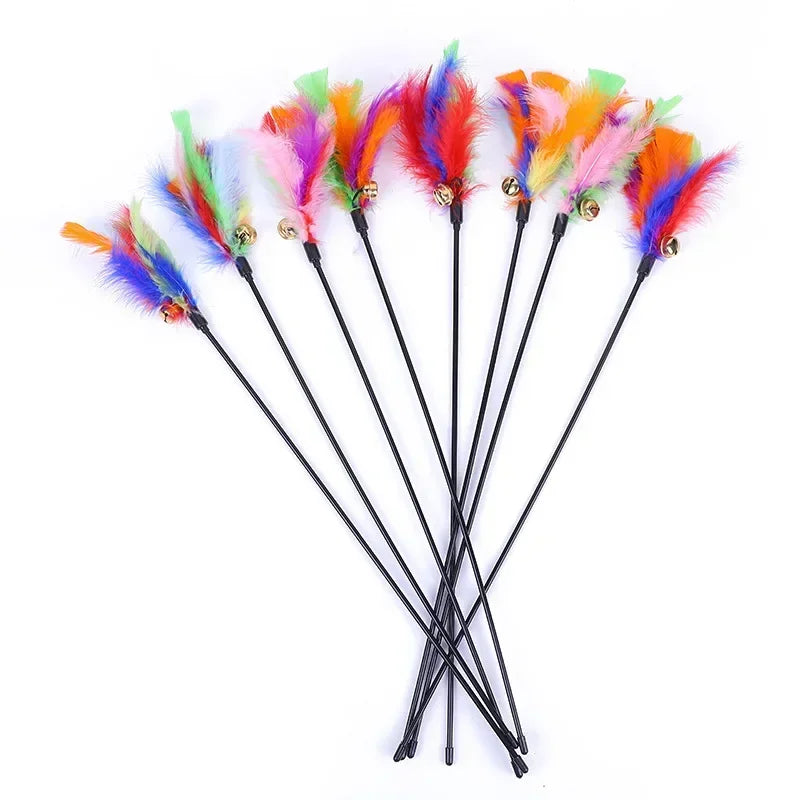 HAYVAN Feather Fun Set