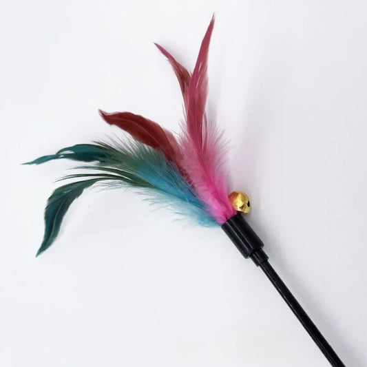 HAYVAN Spielrute Set