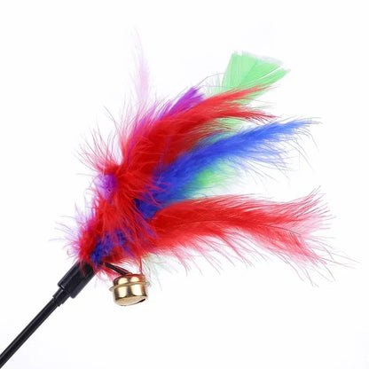 HAYVAN Feather Fun Set