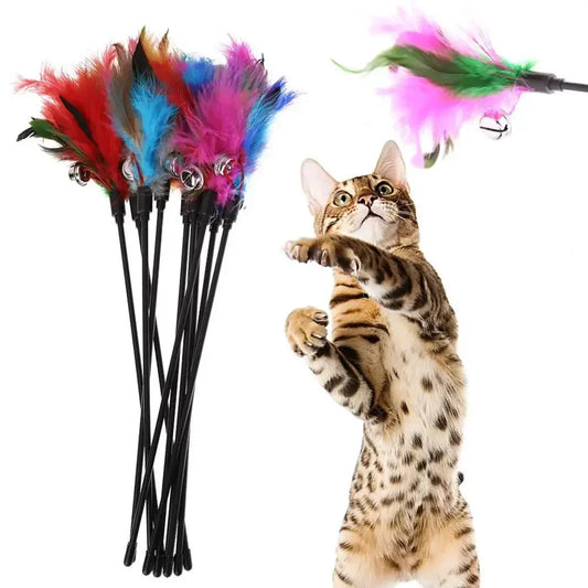 HAYVAN Feather Fun Set