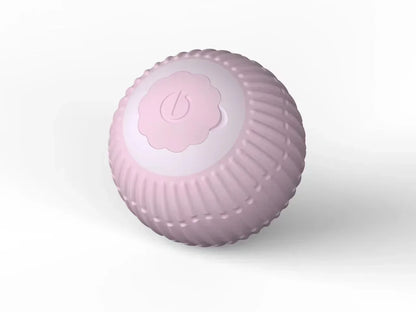 HAYVAN Smart Rolling Ball