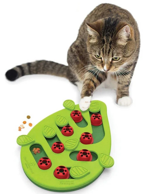 HAYVAN Snack Puzzle