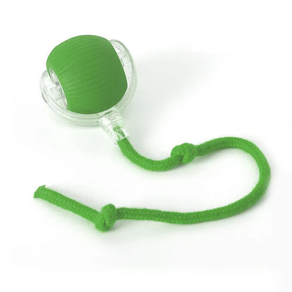 HAYVAN Smart Rolling Ball