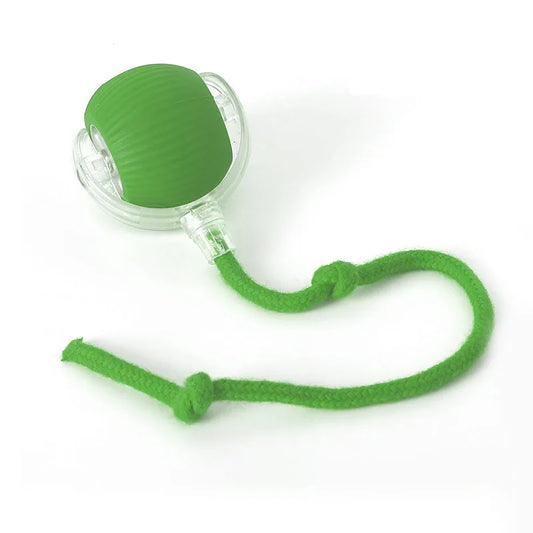 HAYVAN Smart Rolling Ball