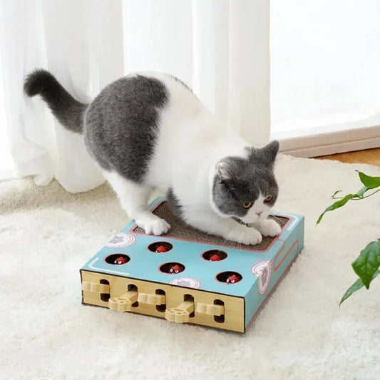 HAYVAN Game Box
