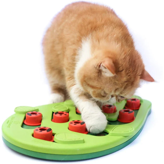 HAYVAN Snack Puzzle