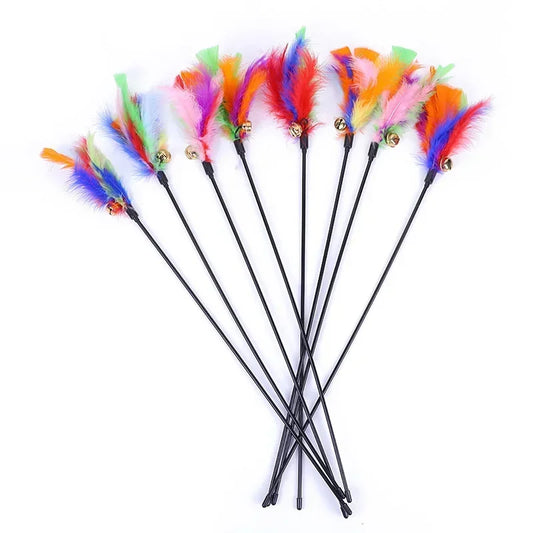 HAYVAN Feather Fun Set