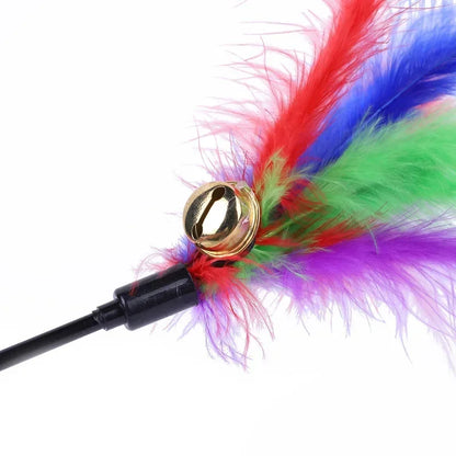 HAYVAN Feather Fun Set