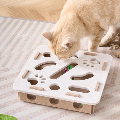 HAYVAN Puzzle Box