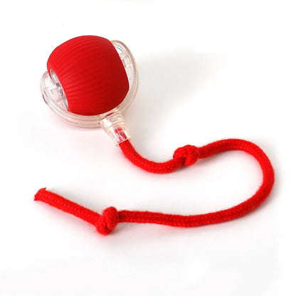HAYVAN Smart Rolling Ball